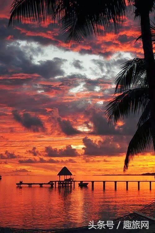 高更最后的大溪地,高更经历