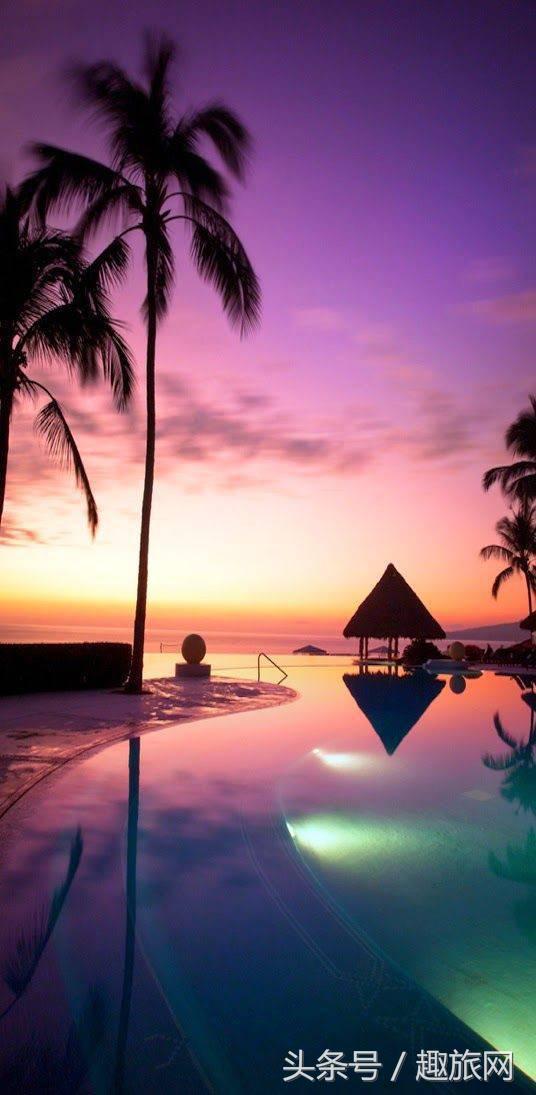 高更最后的大溪地,高更经历