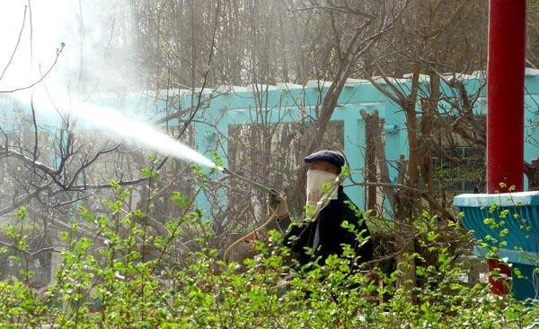 去除农药残留的小窍门靠谱不,2分钟去除农药