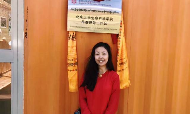 北大元培学院毕业生现状,北京大学元培学院录取的学生