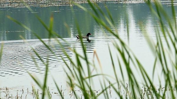 榫欏瓙婀栧ぇ瀛﹀煄鍜岄緳婀栧ぇ瀛﹀煄,榫欐箹澶у鍩庡拰榫欏瓙婀栧ぇ瀛﹀煄