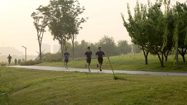 榫欏瓙婀栧ぇ瀛﹀煄鍜岄緳婀栧ぇ瀛﹀煄,榫欐箹澶у鍩庡拰榫欏瓙婀栧ぇ瀛﹀煄