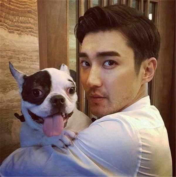 崔始源养狗最新视频,崔始源再次为两年前爱犬事件道歉