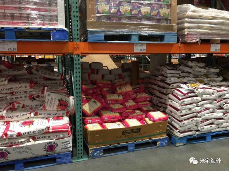 在温哥华生活有多惬意,在温哥华生活视频