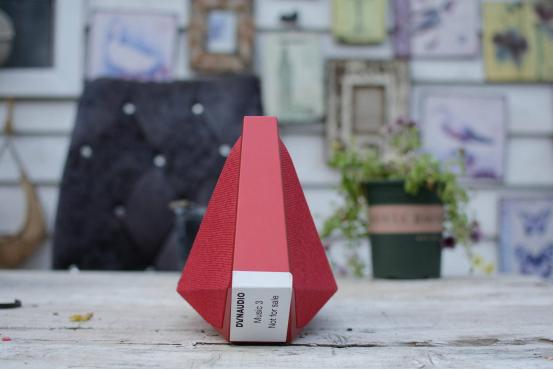 内外兼修尽显经典本色，丹拿音响全网首测！