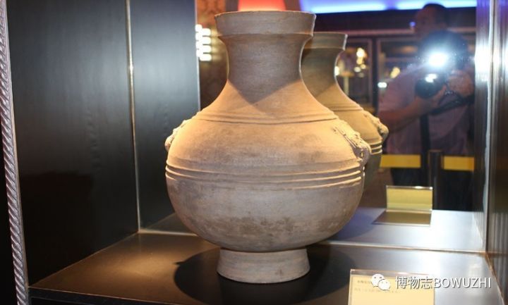 广西南宁人民公园自然博物馆,南宁博物馆和广西博物馆哪个好