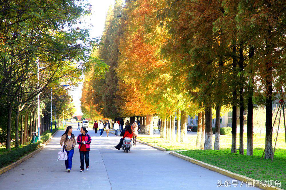从学院到大学，信阳师范学院更名之路还要走多远？