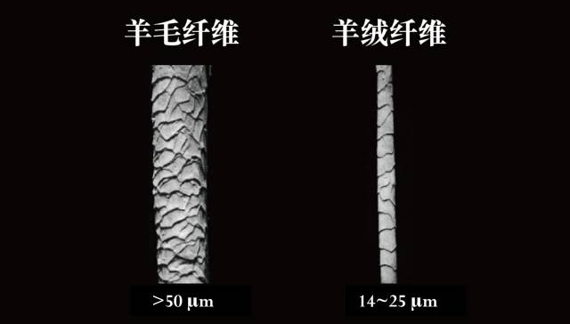 羊绒围巾怎么认真假,lv围巾真假鉴别方法