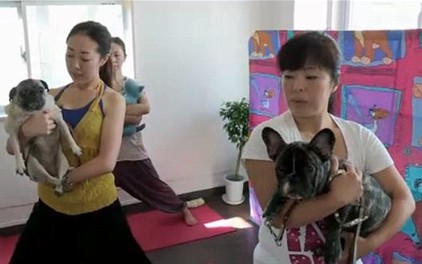 最奢华的宠物,带你看看宠物的奢侈生活