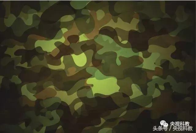 中国青少年科学总动员第三季,中国青少年科学总动员探秘宇宙