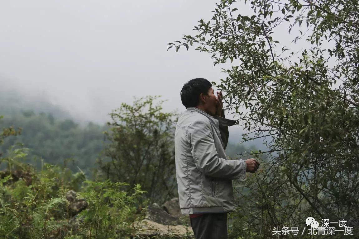 「看见」泥坑里的“鹿晗”和吃土豆的孩子：80张图，读懂中国脱贫