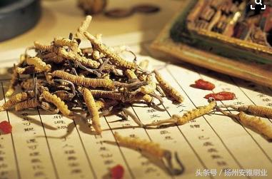 已经证实有毒的中药材,有哪些中草药对人体有害