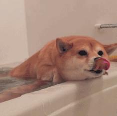 网友血泪控诉：没想到装修建材水这么深？被卖还帮人数钱！