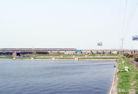 南方怎么养南美白对虾,鲜活南美白对虾是怎么养殖的