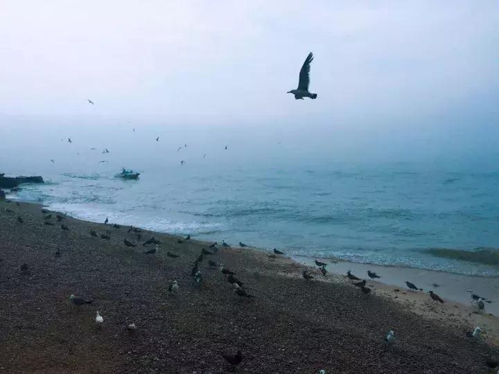 被遗忘的岛屿与世隔绝18000年,被遗忘的海岛完整