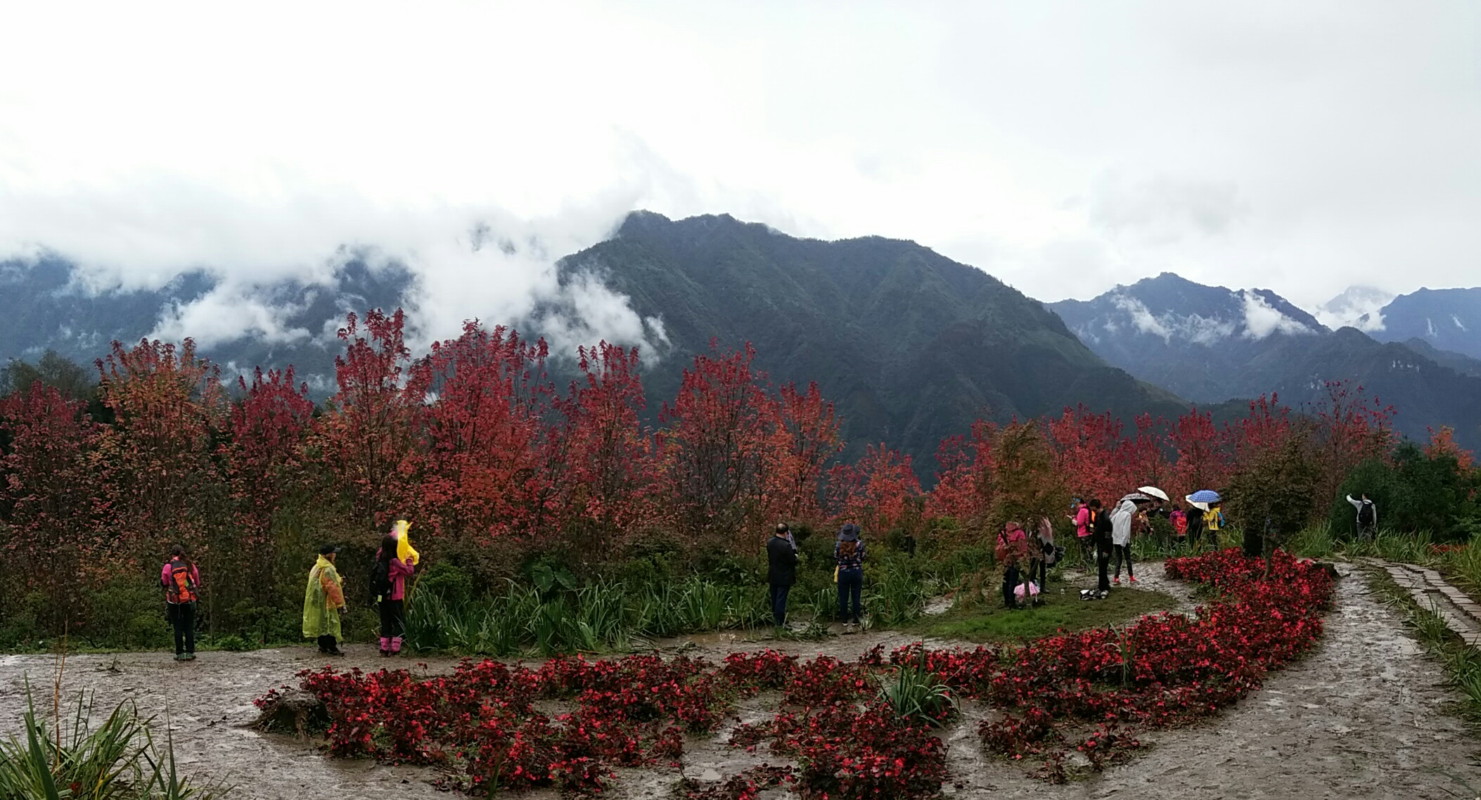 德阳红枫岭旅游,德阳市什邡市红枫岭景区