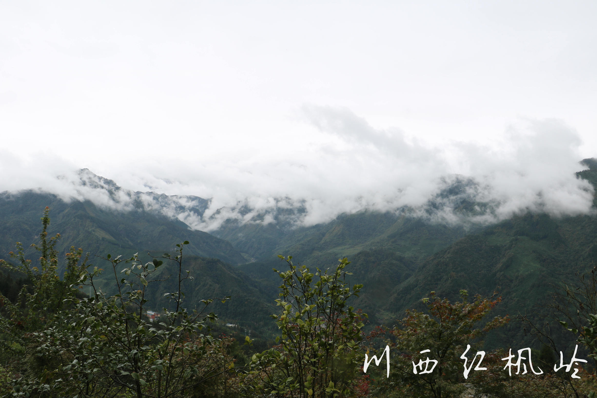 德阳红枫岭旅游,德阳市什邡市红枫岭景区