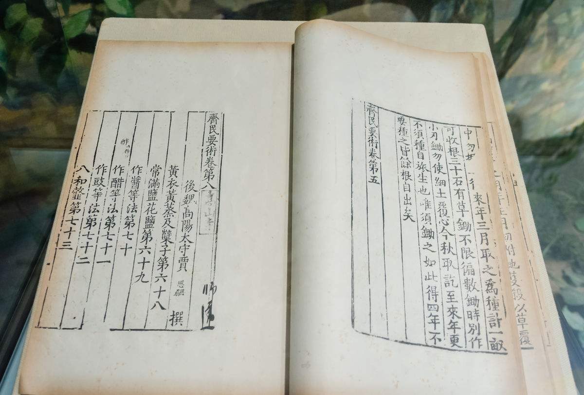 日本寿司源自中国吗,日本寿司起源于哪