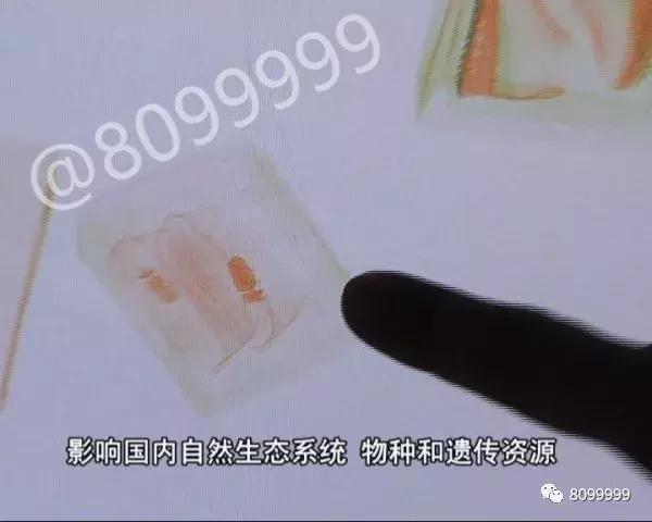 海关截获进境邮包,跨境包裹海关检疫管理办法