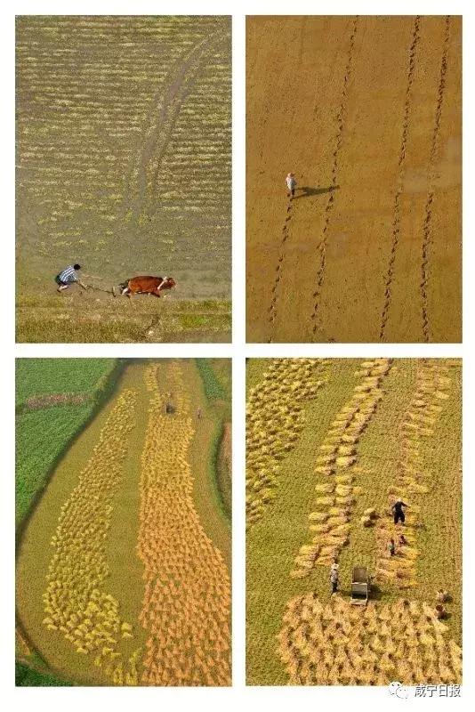 咸宁崇阳十大景点,湖北咸宁崇阳有什么风景