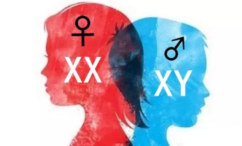 哪种染色体异常很可怕,染色体异常是怎么回事啊