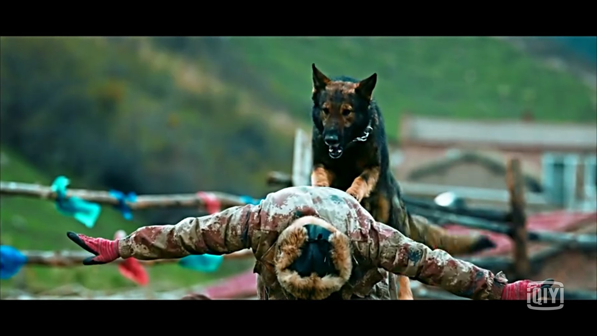 血狼犬黄宏完整版,血狼犬黄宏回忆往事泪流满面