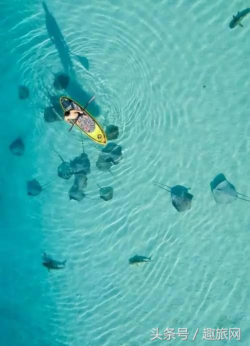 高更最后的大溪地,高更经历