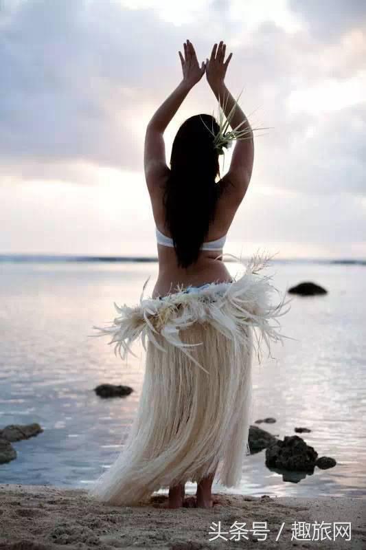 高更最后的大溪地,高更经历