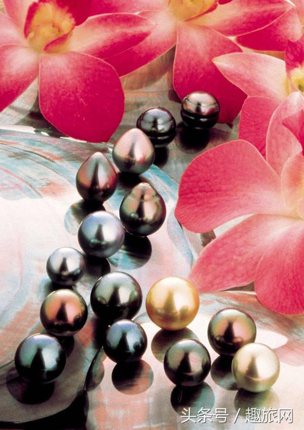 高更最后的大溪地,高更经历