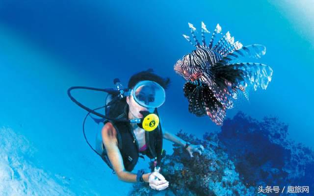 高更最后的大溪地,高更经历