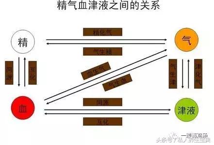 气血不足发呆反应迟钝精神不佳,精神萎靡食欲不振怎么回事