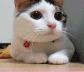 手机通讯录储存到sim卡,通讯录怎么存在sim卡