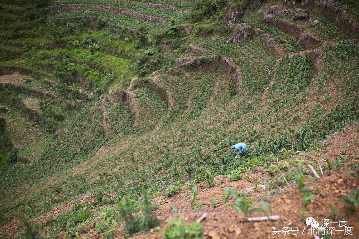 「看见」泥坑里的“鹿晗”和吃土豆的孩子：80张图，读懂中国脱贫