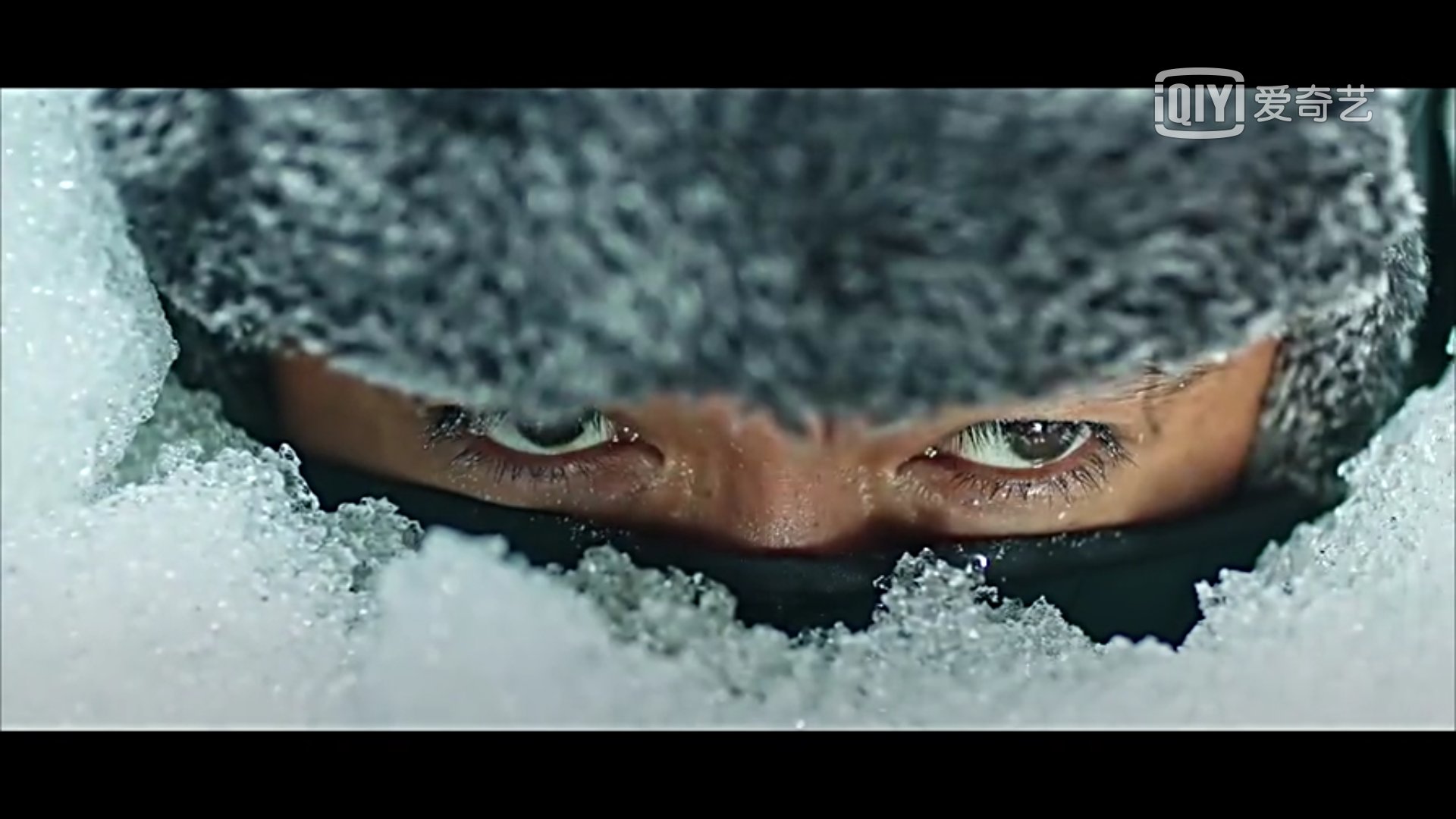 血狼犬黄宏完整版,血狼犬黄宏回忆往事泪流满面