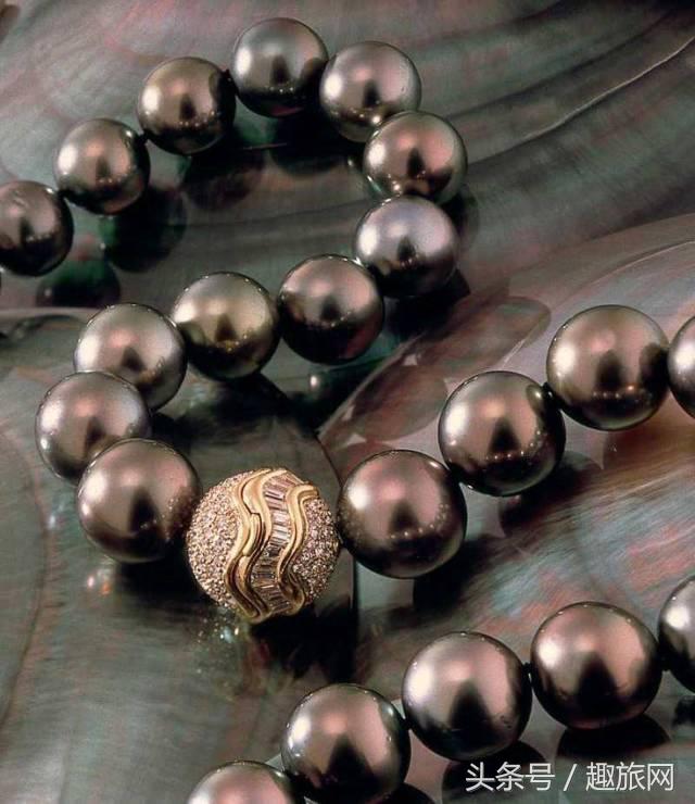 高更最后的大溪地,高更经历