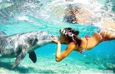 高更最后的大溪地,高更经历