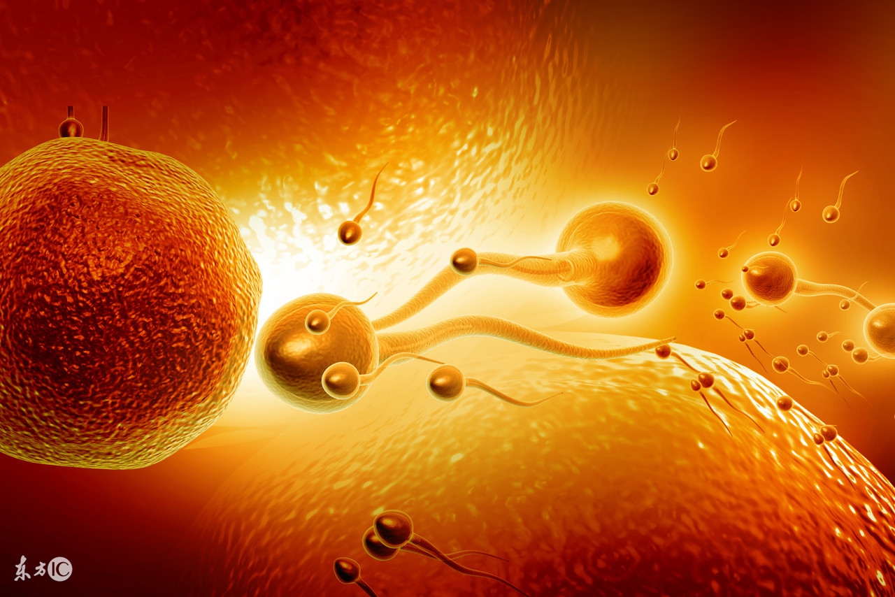 死精无精有什么症状,男子死精症状