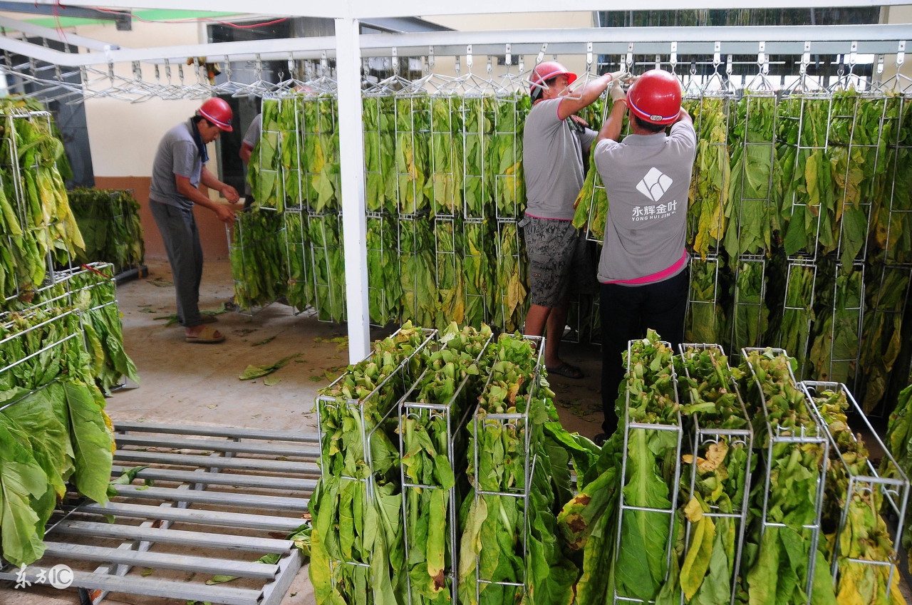 农药经营要讲究技巧,农药生意经营模式