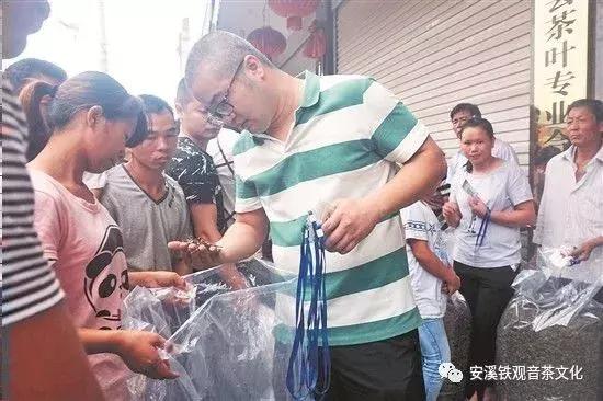 安溪铁观音是春茶好还是秋茶好,安溪铁观音最出名