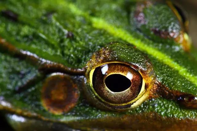 一个90后摄影师,一个90后的摄影师