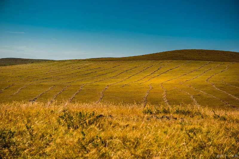 草原金秋美景图片,蓝天白云大草原的美图
