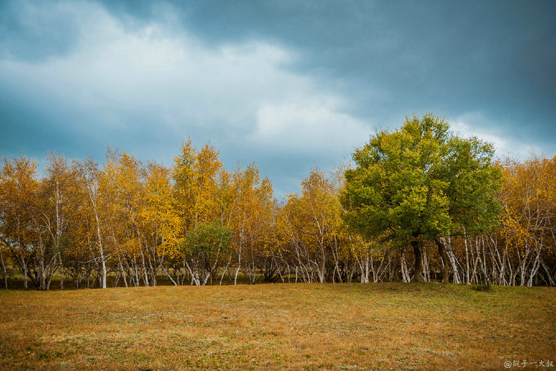 草原金秋美景图片,蓝天白云大草原的美图