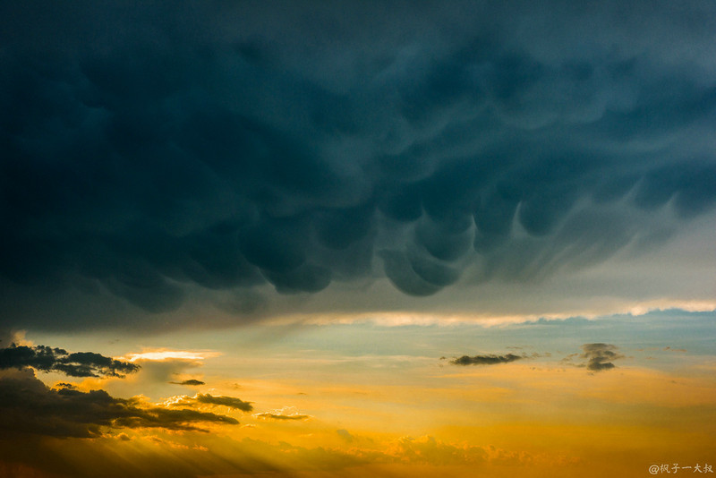 草原金秋美景图片,蓝天白云大草原的美图