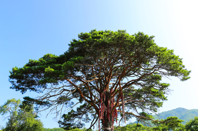 黄海之滨辽宁丹东,壮哉大辽宁