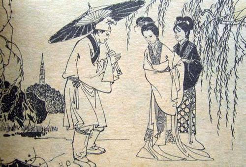 江南汉乐府的莲叶长什么样的,江南汉乐府鱼在莲叶间的情形