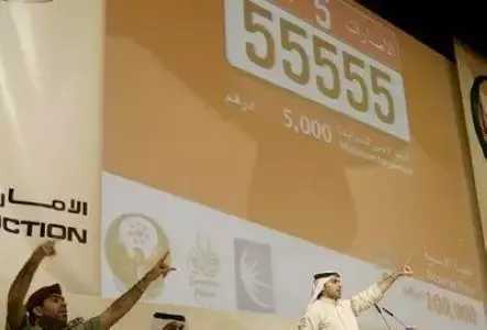 车牌比车都贵的车,比跑车还贵的车牌