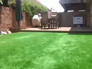 春困夏倦秋乏冬眠四季如梦谁说的,春困夏倦秋乏冬眠四季如梦出处