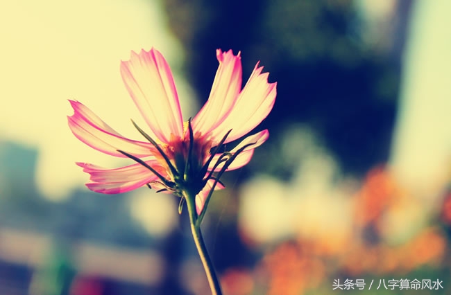 零基础学习八字认识十天干,八字基础知识哪些需要死记硬背的