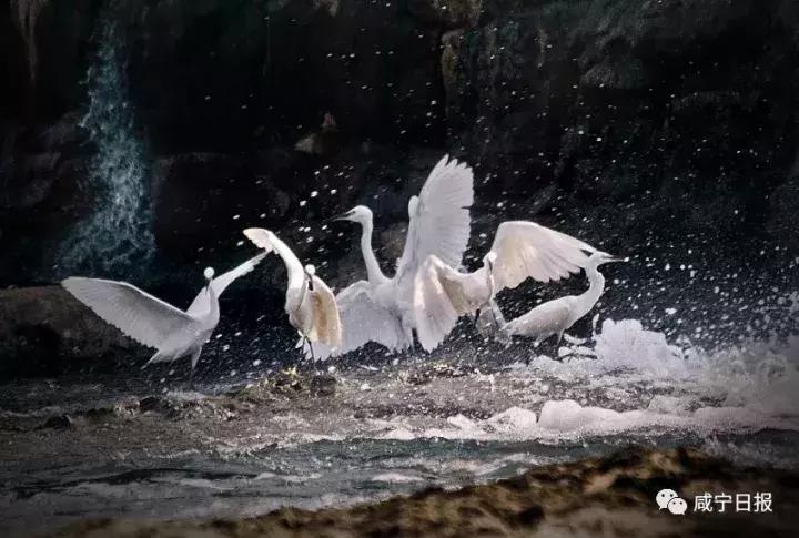 咸宁崇阳十大景点,湖北咸宁崇阳有什么风景