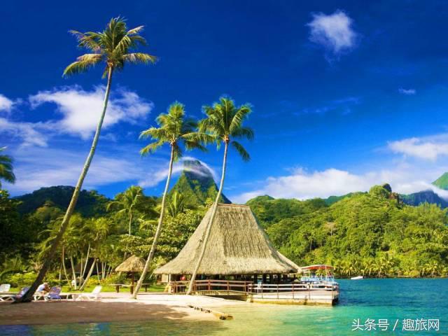 高更最后的大溪地,高更经历